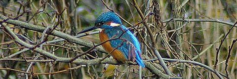 TheoWeidgraaf's profile banner image