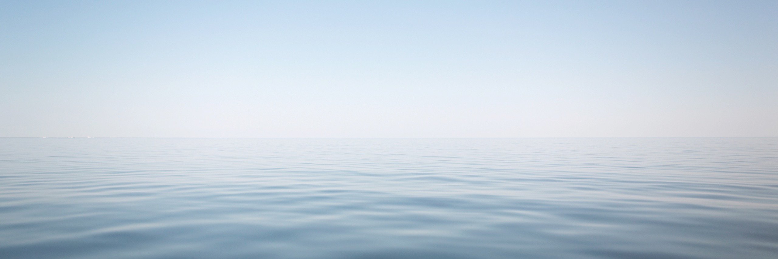 𝘙𝘢𝘱𝘩𝘢𝘦𝘭 𝘍𝘢𝘪𝘴𝘴 banner