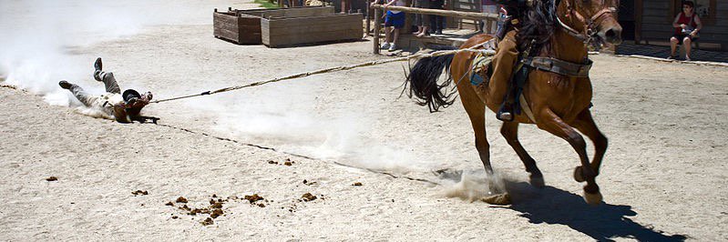 Alex/Apex Gale banner