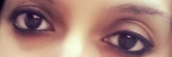 tweety_aysshh Profile Banner