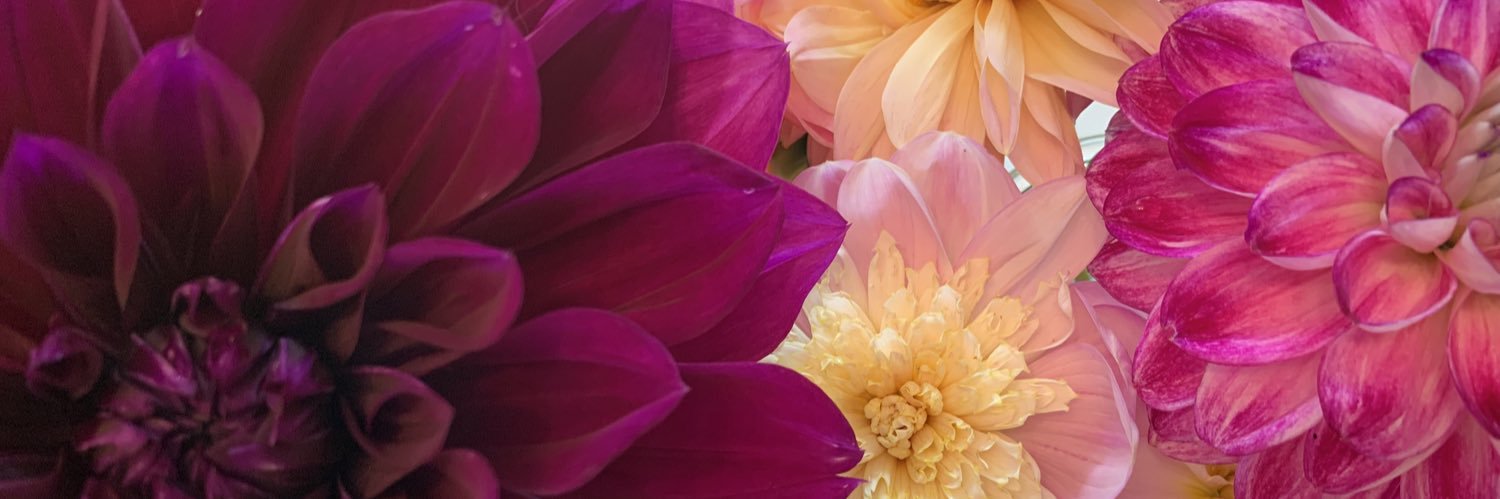 SuperTwaddle's profile banner image