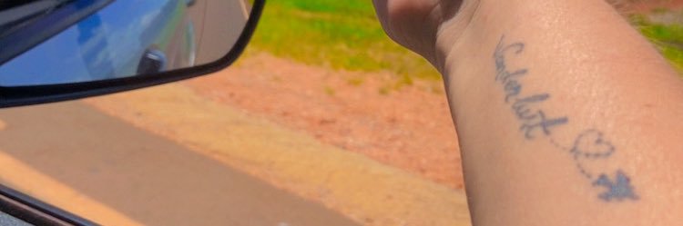 Tarissa Marques quer um vip para Shakira banner