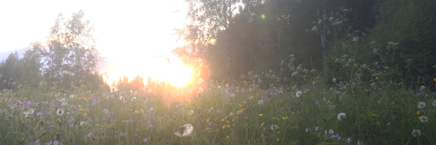 TiinaMama's profile banner image