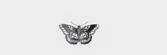 sunnylauraaa's profile banner image