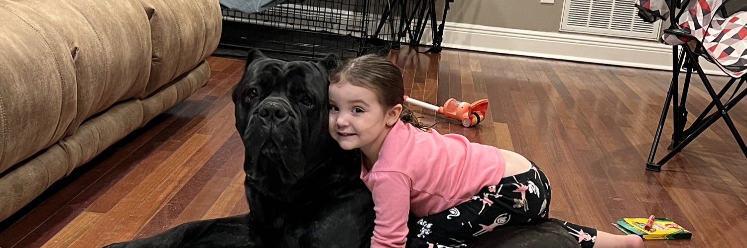 caitluvv's profile banner image