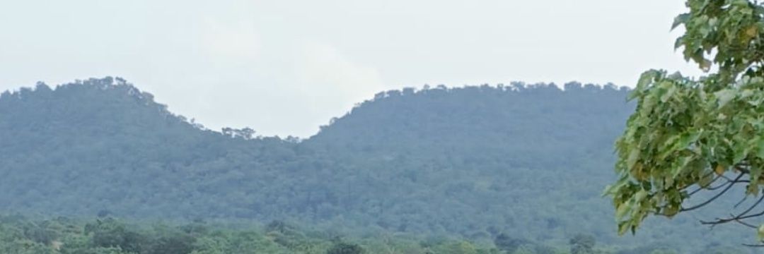 murthyar's profile banner image