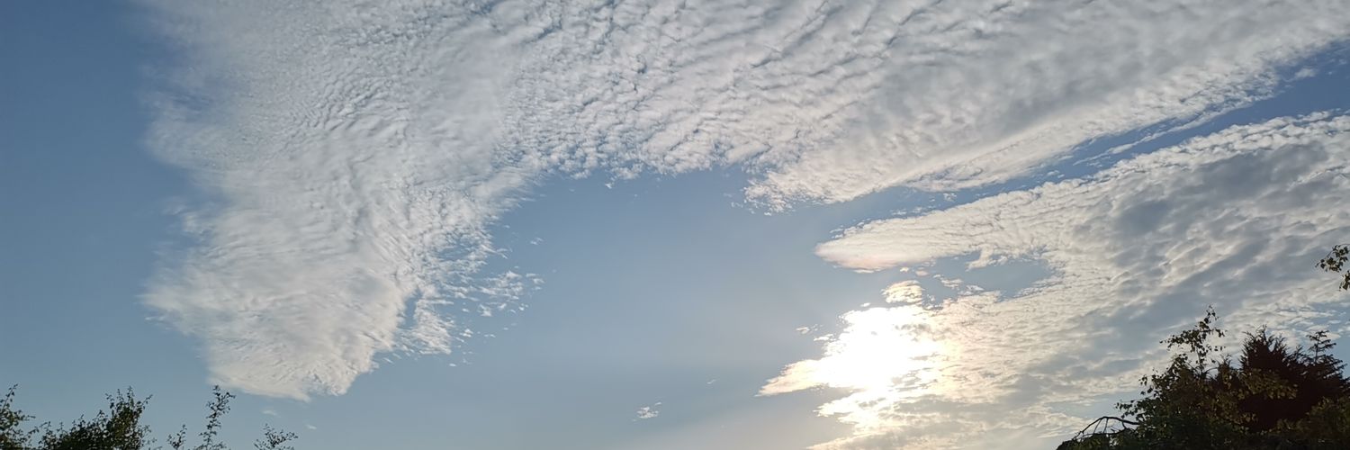 rogerspac24's profile banner image