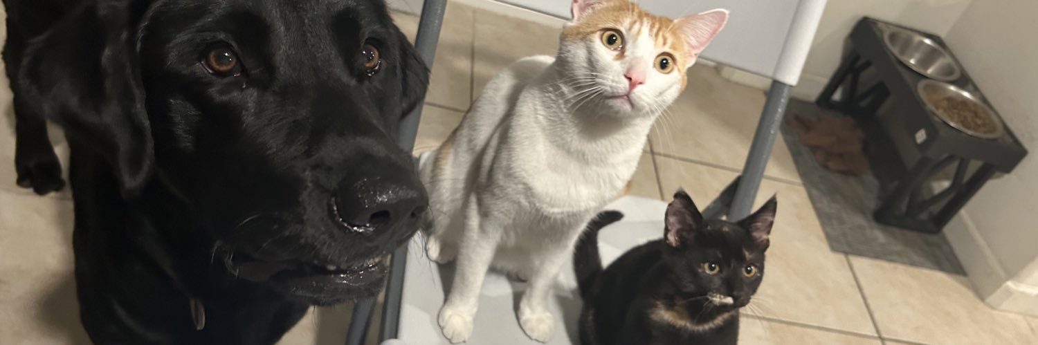 __esmmeee's profile banner image
