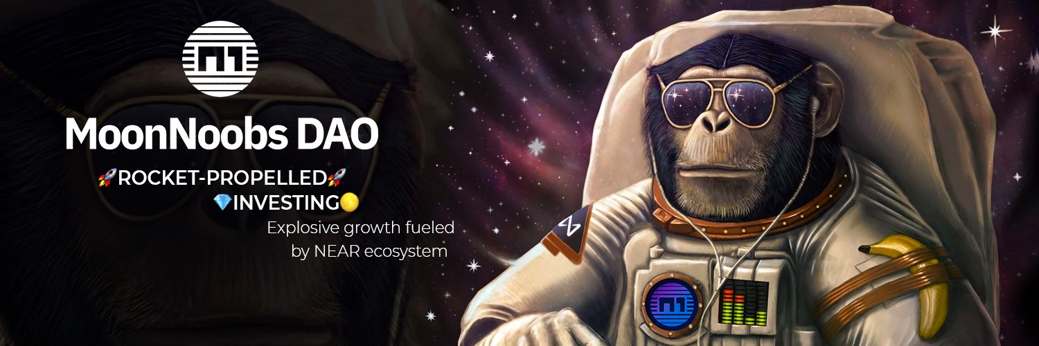 MoonNoobsDAO's profile banner image