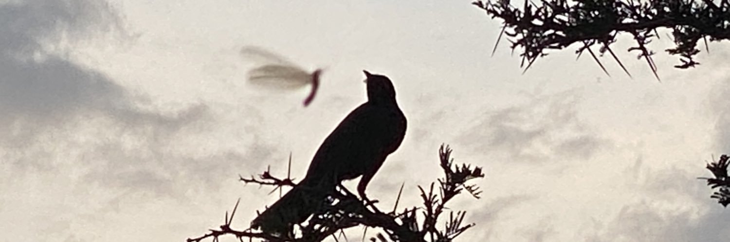 Rashmi Pillai banner