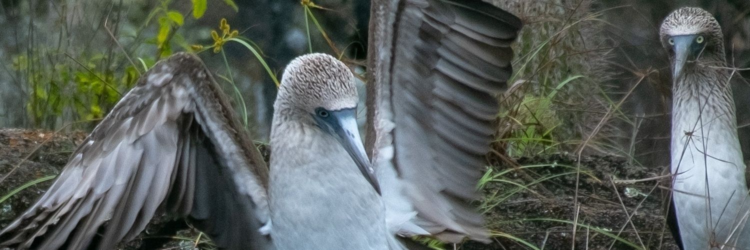 kevinheyl's profile banner image