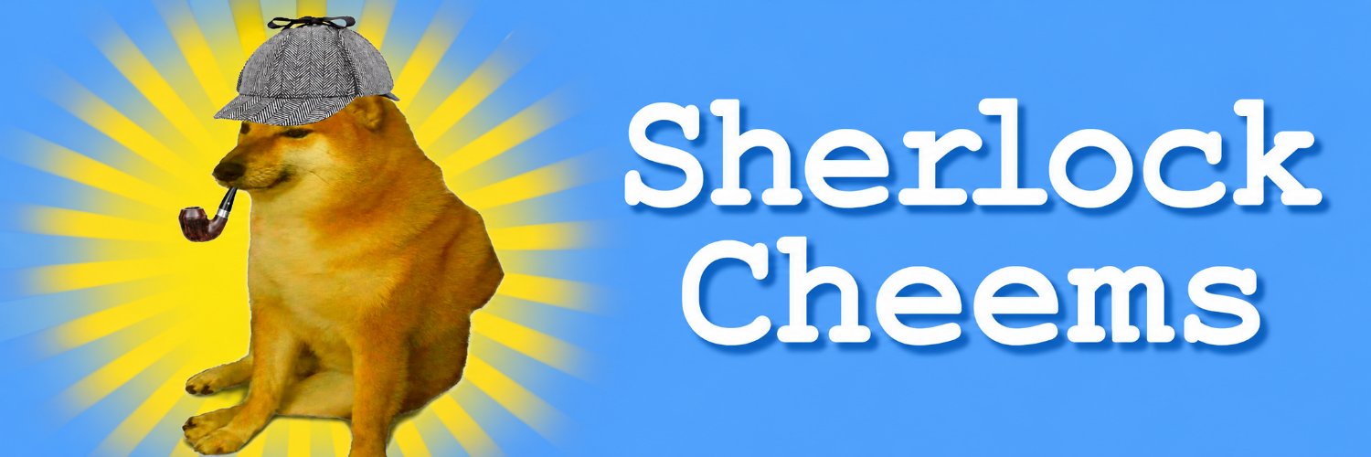 SherlockCheems_'s profile banner image
