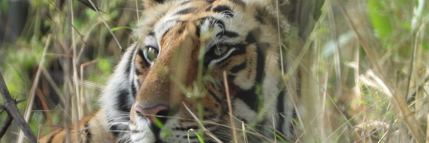 asferriyaz's profile banner image