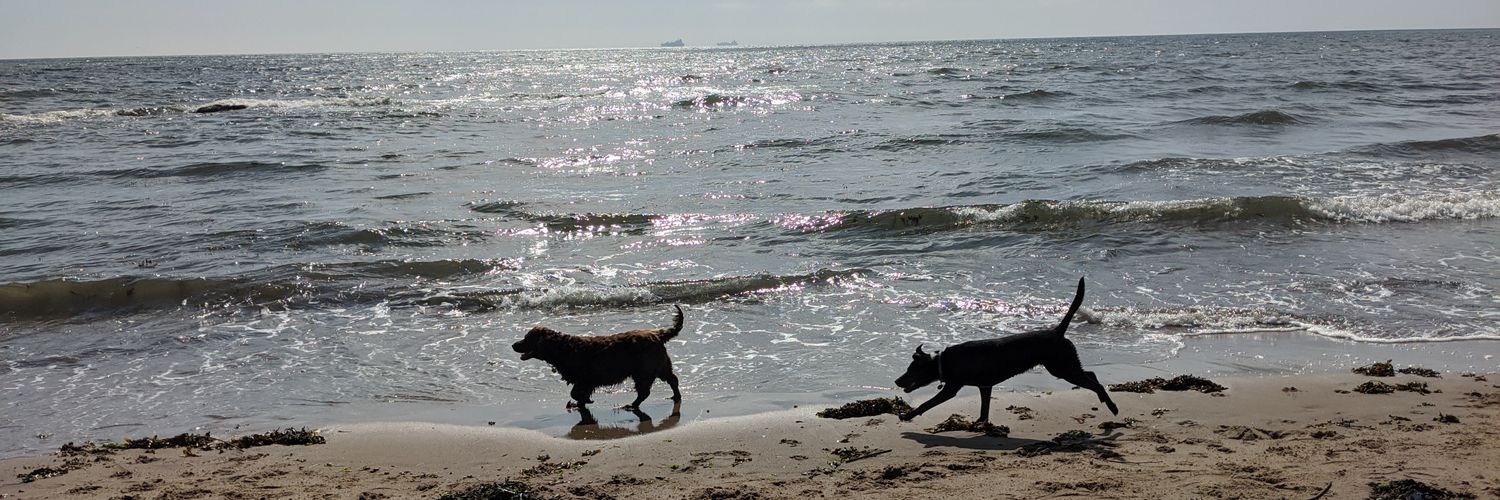 Duncan Caithness banner