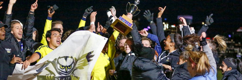 naitooks's profile banner image
