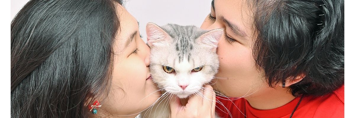 ThingsLeftUnCed's profile banner image