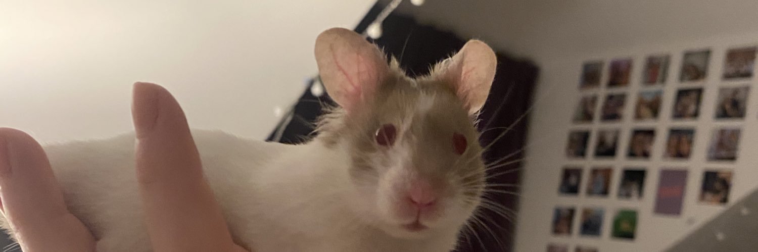 abbeysiveyer's profile banner image