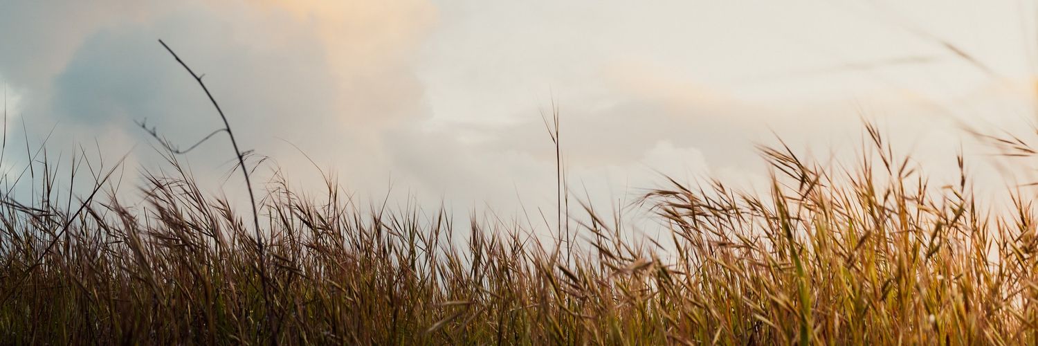 SoupeCreme's profile banner image