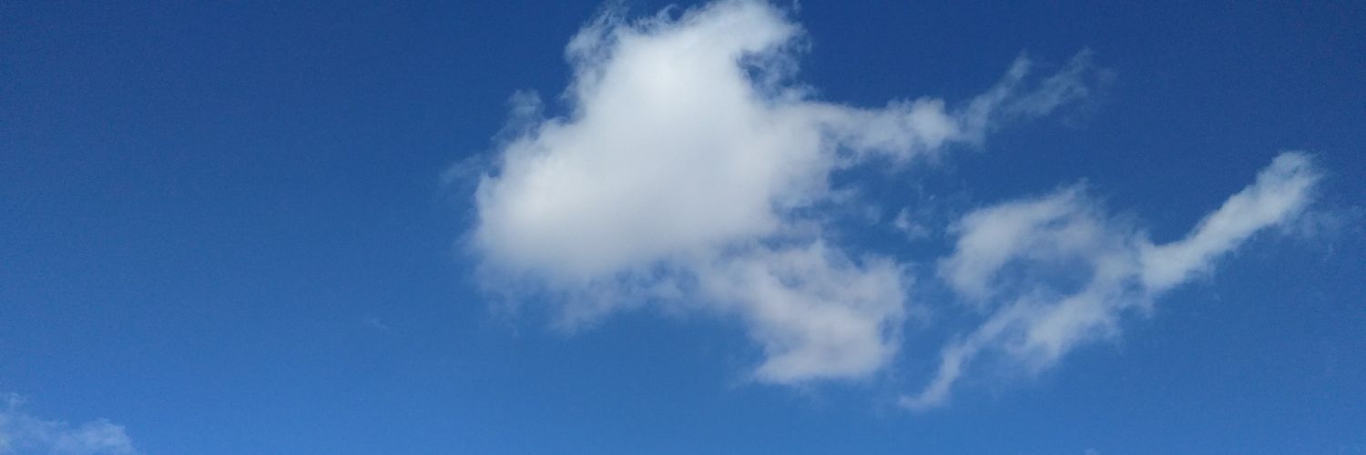 liulei's profile banner image