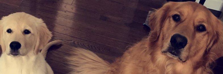 VerrierSteven's profile banner image