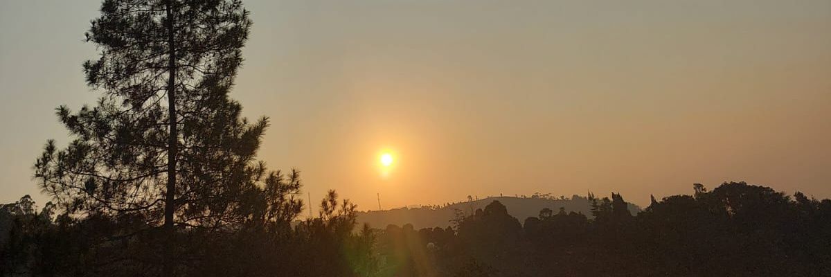 adeFFany's profile banner image
