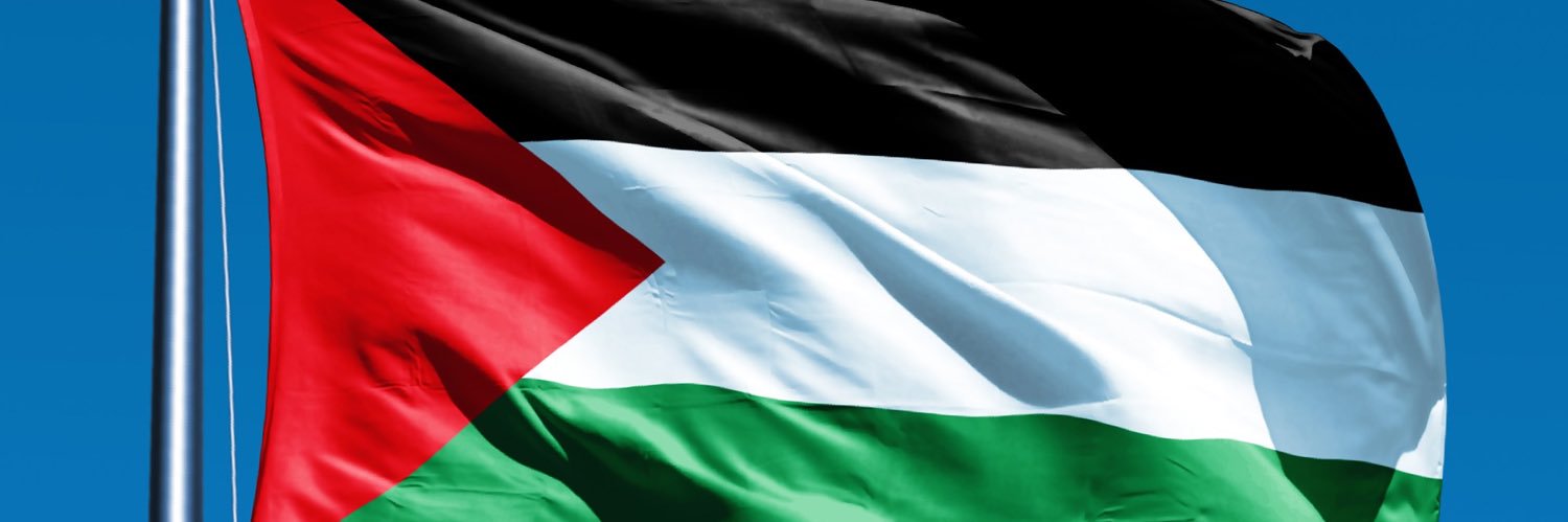 Prince Ali 🇵🇸 banner