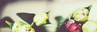king67856's profile banner image