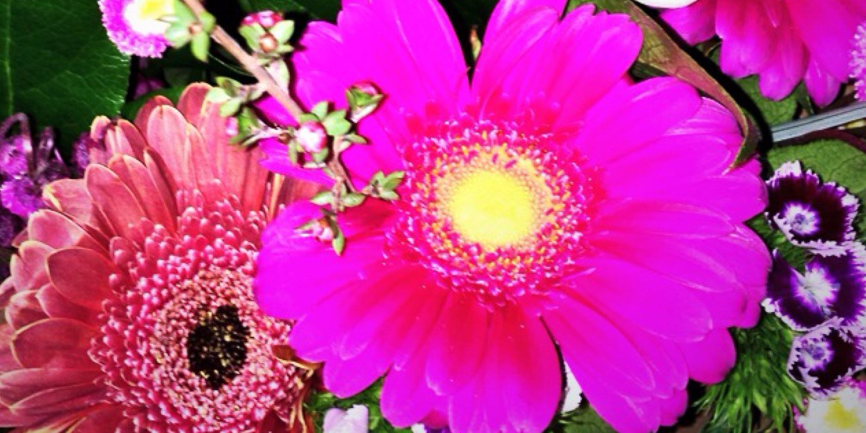 MsFarmerEnglish's profile banner image