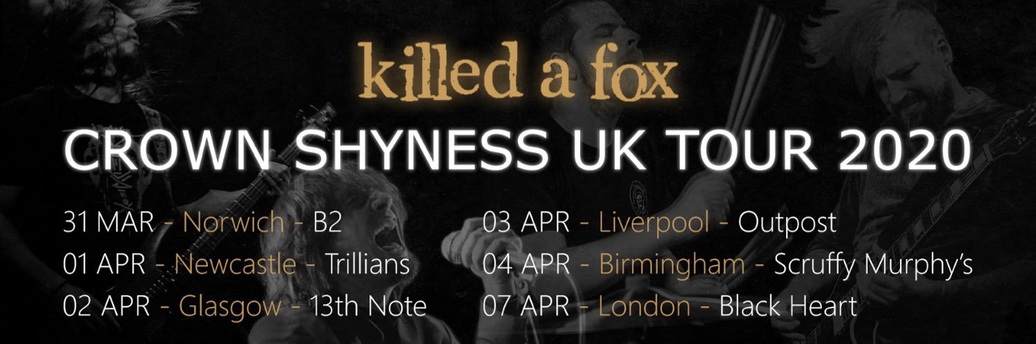 KilledAFox's profile banner image
