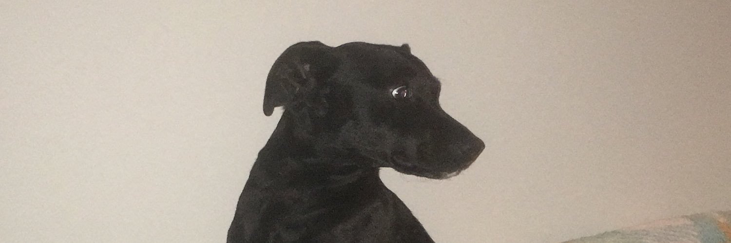 babsdansie's profile banner image