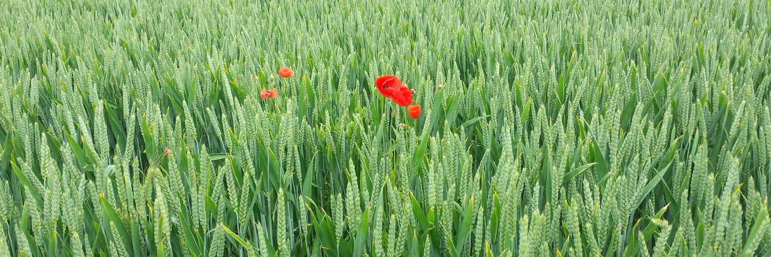 Alexis Dufumier banner