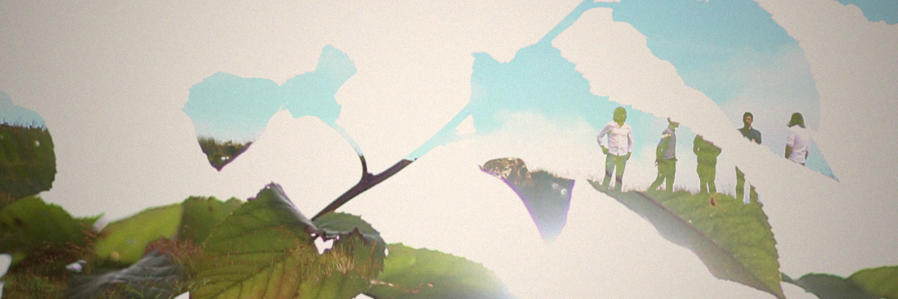 the Viking Project banner