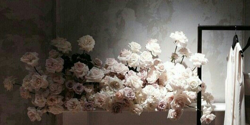AE_hn's profile banner image