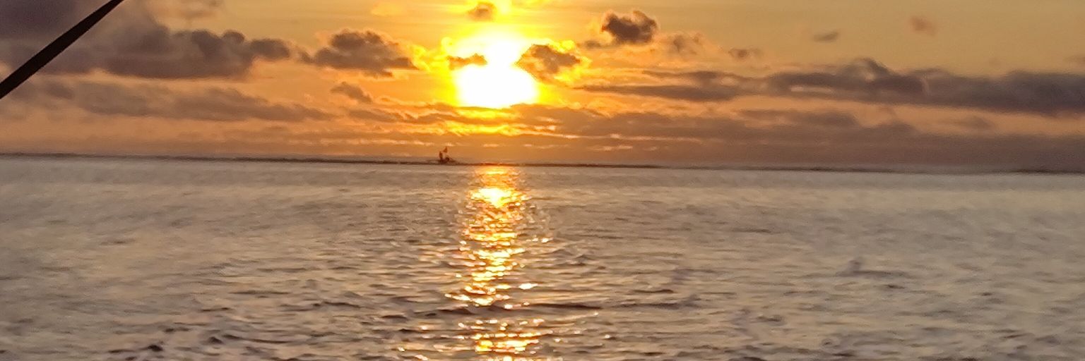 Zyril_T's profile banner image