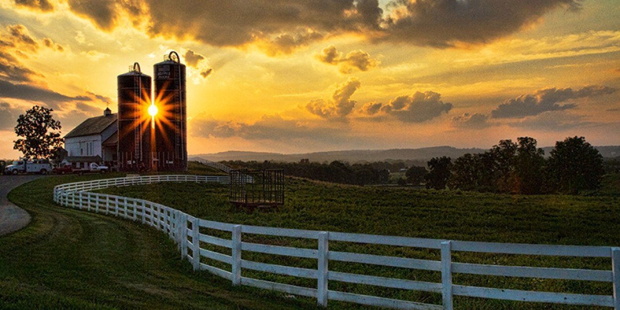BellvaleFarms's profile banner image