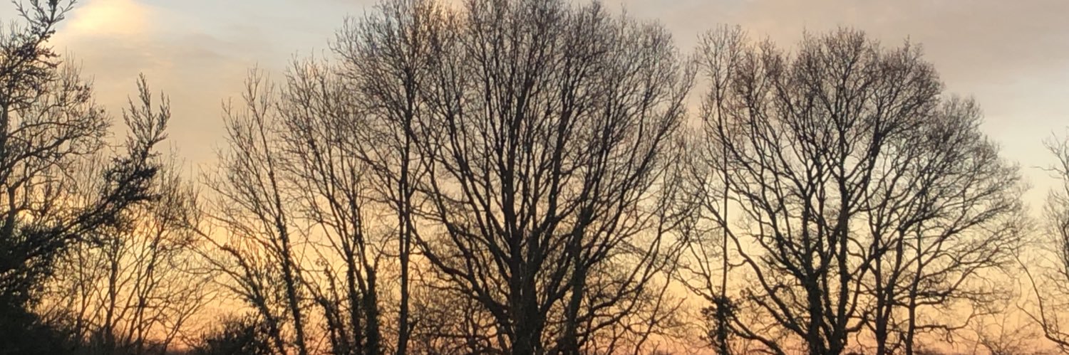 phillipluff's profile banner image