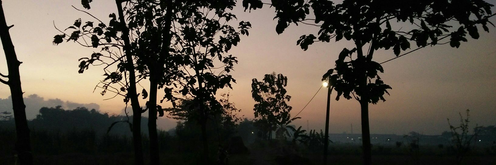 vivinindi's profile banner image