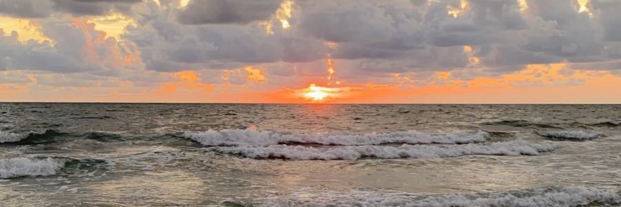 bedomayne's profile banner image