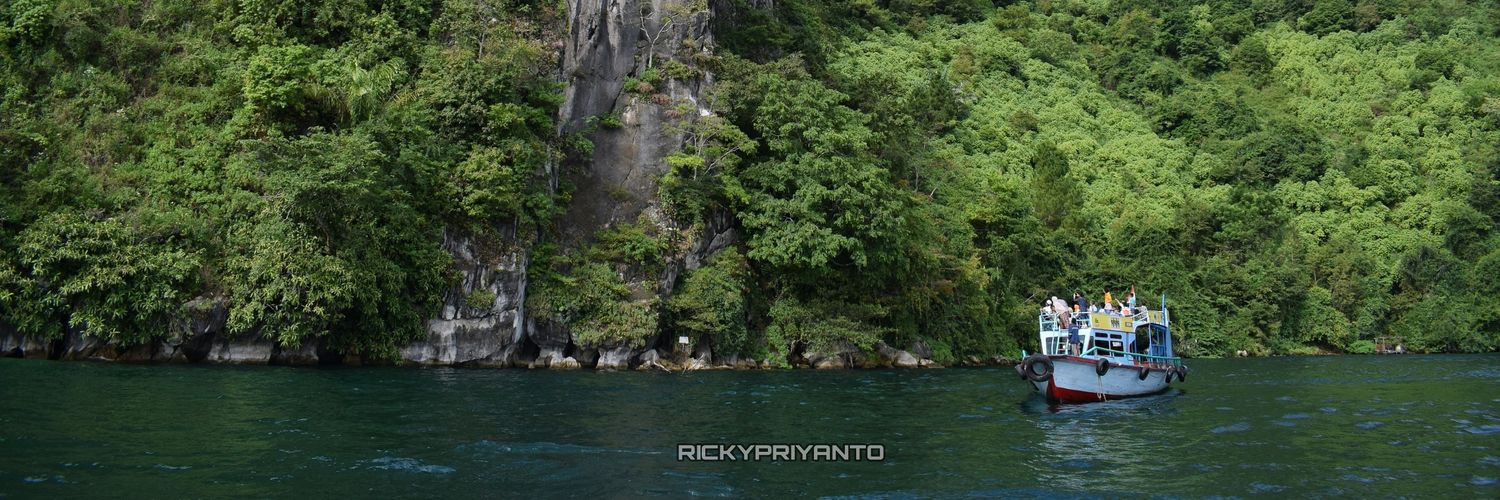 Ricky_Priyanto's profile banner image