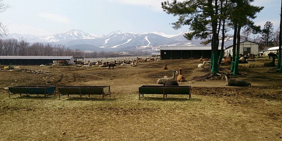 さとし banner