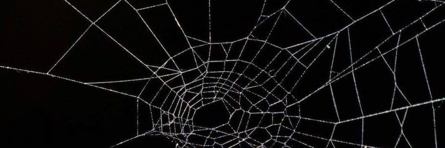 unknownnxj's profile banner image