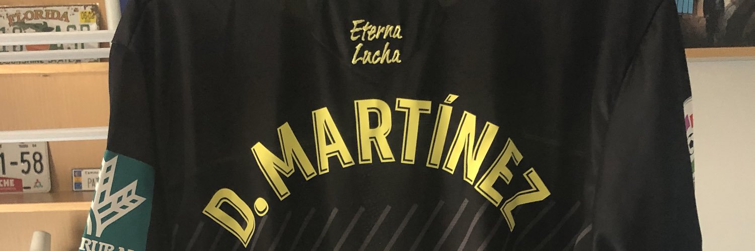 fermelendi's profile banner image