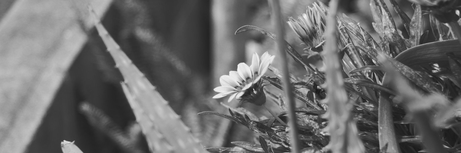 🍛📷生きる資格未取得。 banner