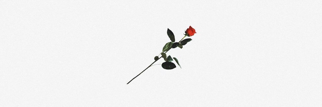 Truman_Georgia's profile banner image