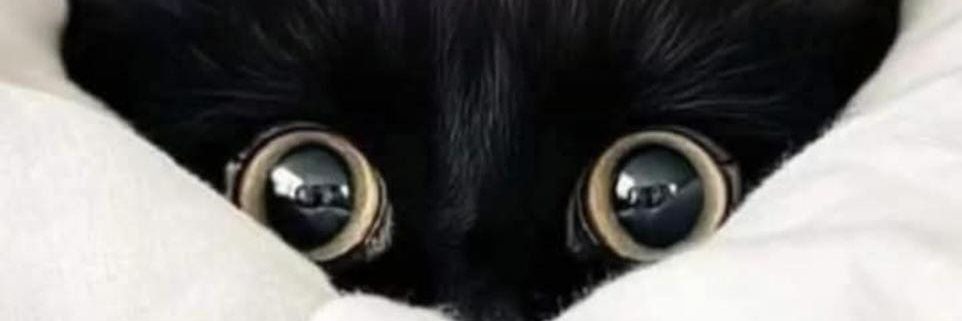 resanfer's profile banner image