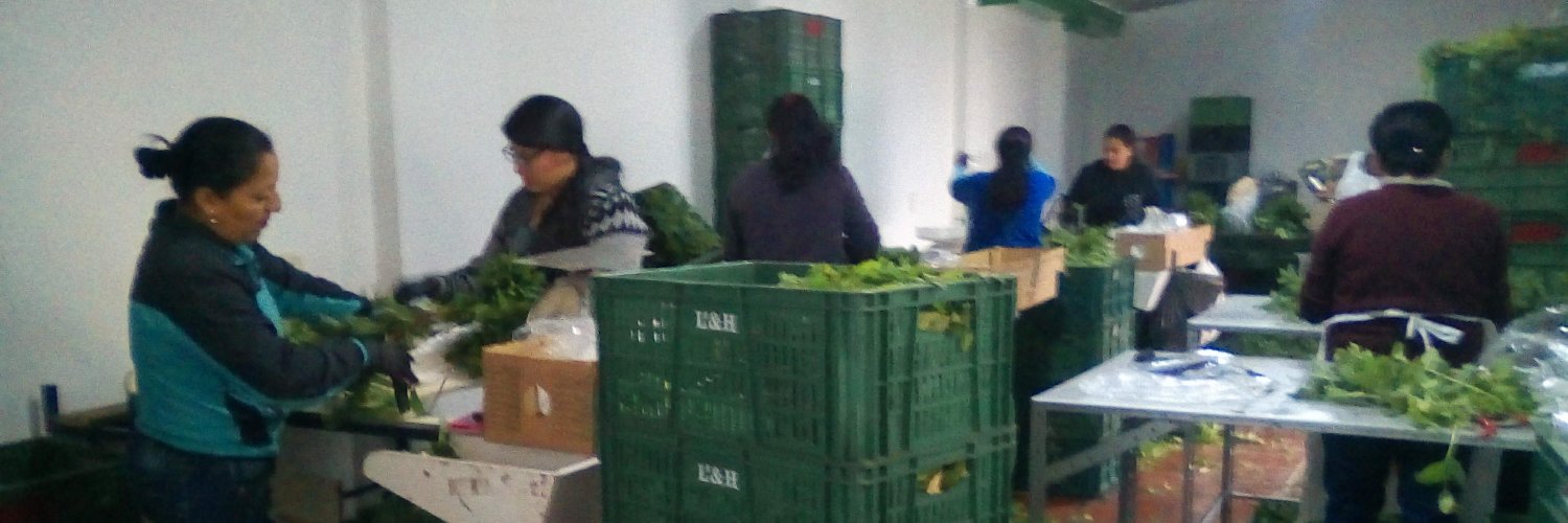 aromaticas25's profile banner image