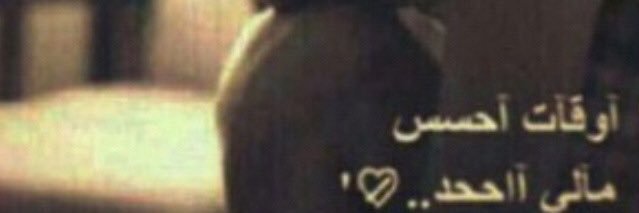 mnomnoshy's profile banner image
