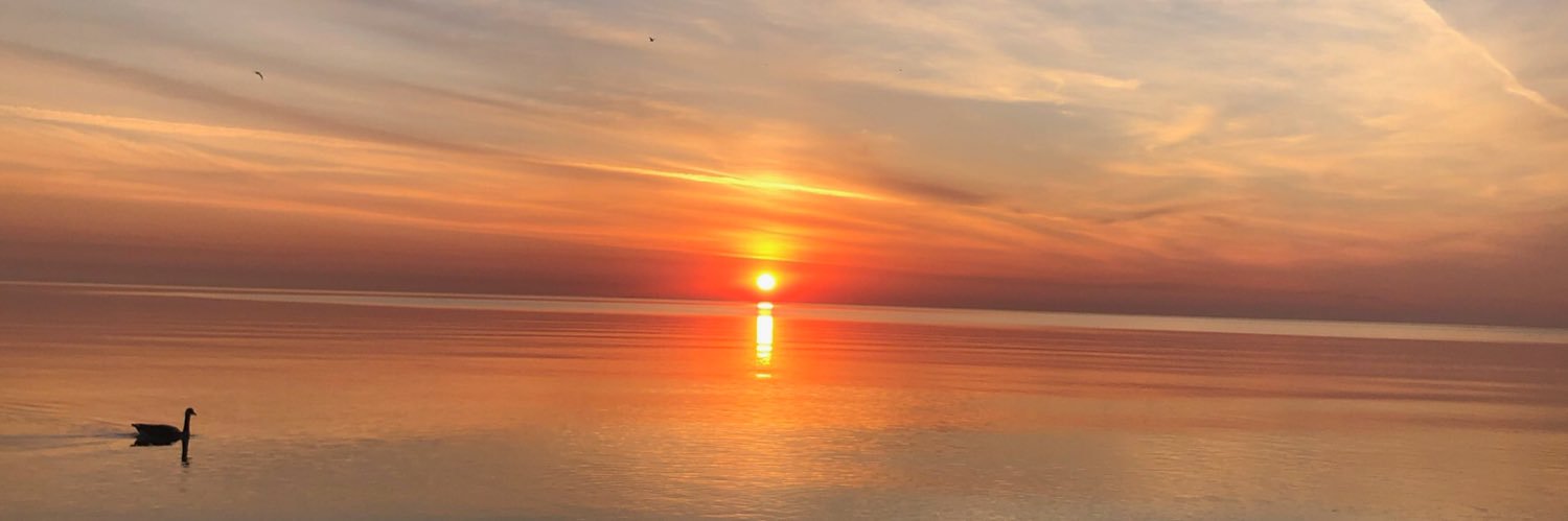 jennaratorr's profile banner image