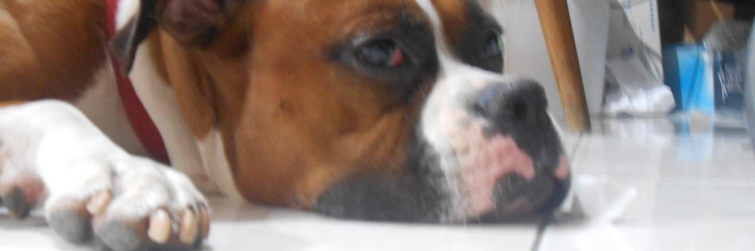 claudiangulo65's profile banner image
