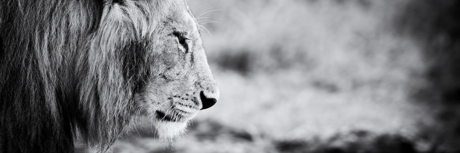 K_alamag's profile banner image